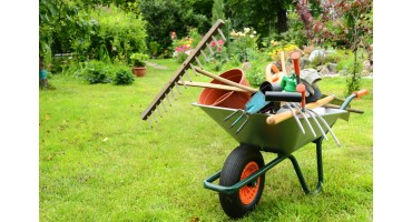 Guida rapida al giardinaggio per principianti